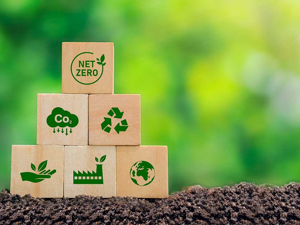 El 54% de las medianas empresas españolas planea invertir en sostenibilidad en 2025