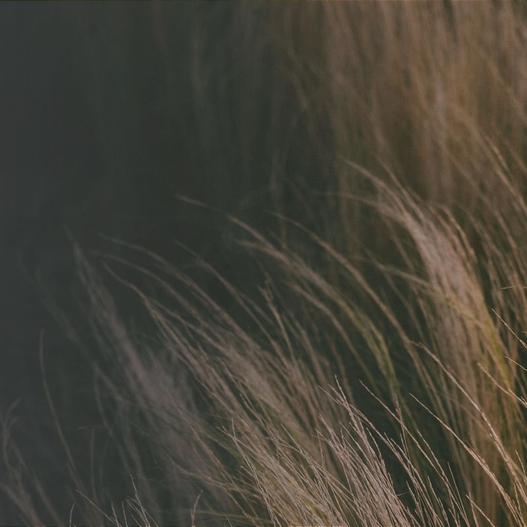 Las 7 tendencias en sostenibilidad e impacto para 2025 (RSE)