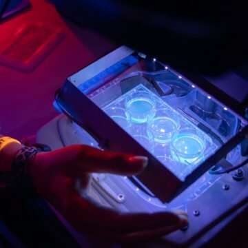 innovacion.jpg Innovación en salud impulsa el récord de patentes españolas en Europa